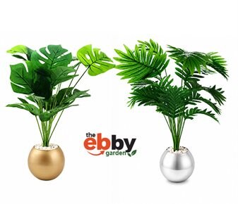 Ebby YAPAY SALON BİTKİLERİ