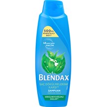Blendax Şampuan Isırgan Özlü 500 ml