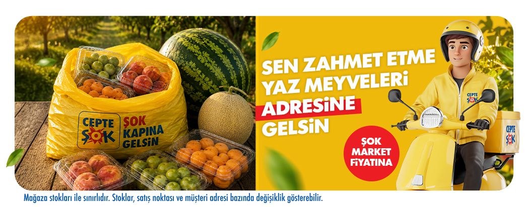 ŞOK · Yaz Meyveleri · Sayfa 23